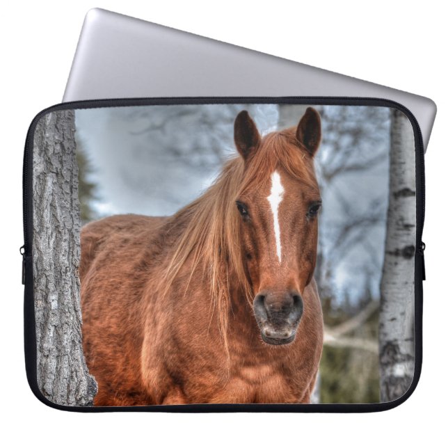 Red Dun Ranch Horse Animal-lover Photo Laptop Sleeve (Front)
