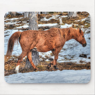 Red Dun Ranch Horse Equine Photography Mouse Mat