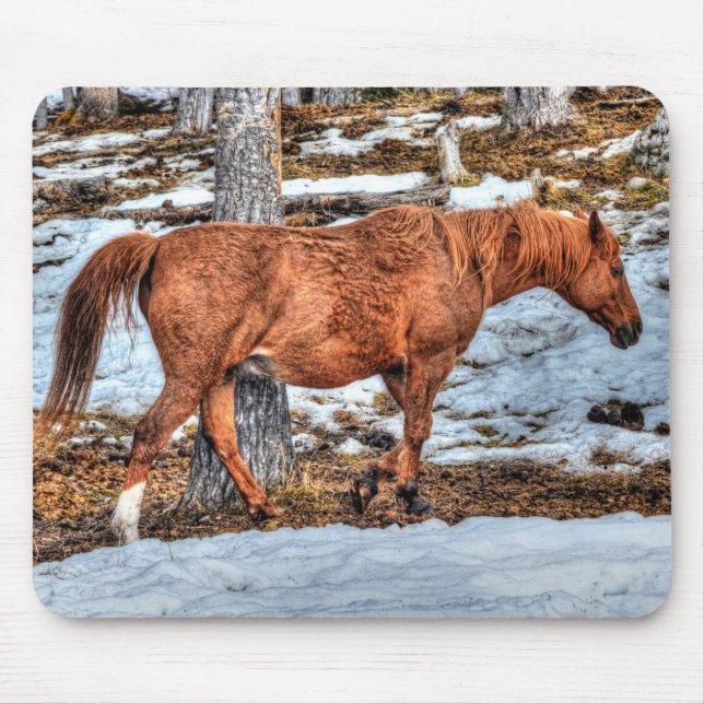 Red Dun Ranch Horse Equine Photography Mouse Mat (Front)