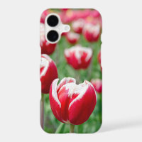 Red Dutch Tulip Garden