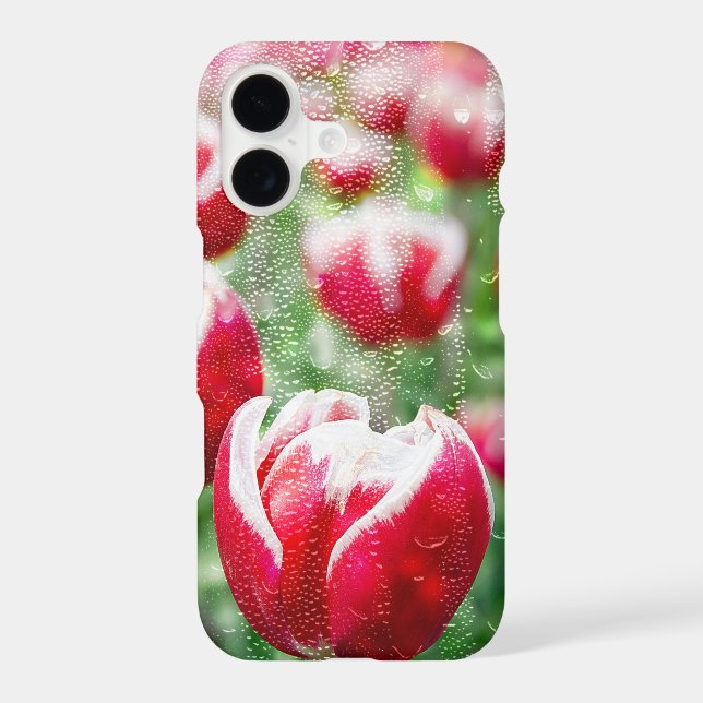 red Dutch tulips (Back)