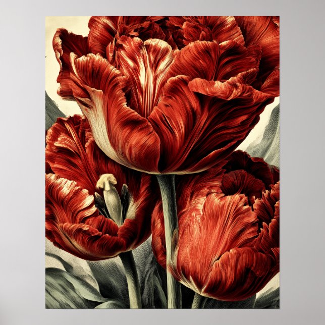Red Dutch tulips Poster (Front)