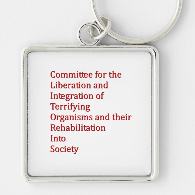 Red Dwarf Key Ring (Front)