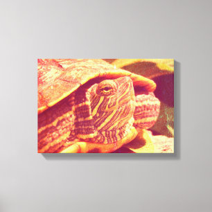 Red Ear Slider Turtle Canvas Print