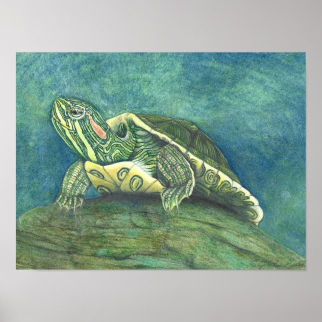 Red-Eared Slider Poster (Front)