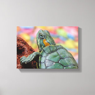 Red-eared slider turtle canvas print