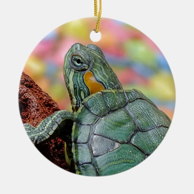 Red-eared slider turtle ceramic tree decoration (Front)