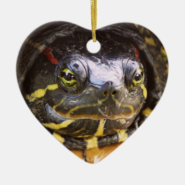 Red Eared Slider Turtle Head Ceramic Tree Decoration (Front)