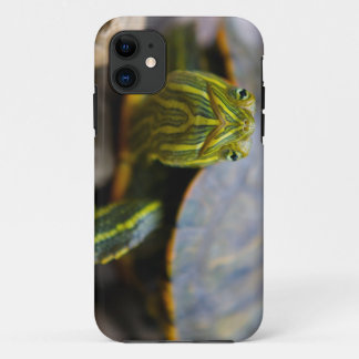 Red-eared Slider Turtle Head-on View iPhone 11 Case