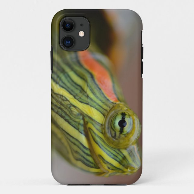 Red-eared Slider Turtle iPhone case (Back)