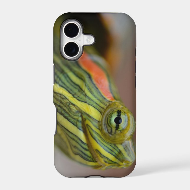 Red-eared Slider Turtle iPhone case (Back)