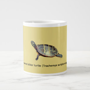 Red-eared slider turtle  large coffee mug
