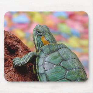 Red-eared slider turtle mouse mat