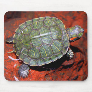 Red-eared Turtle Mouse Mat