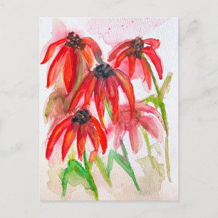 Red Echinacea Flowers in Watercolor Holiday Postcard