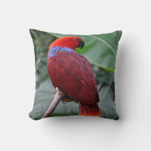 Red eclectic parrot cushion