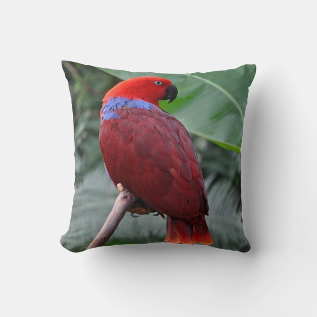 Red eclectic parrot cushion (Front)