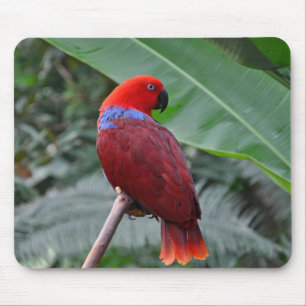 Red eclectic parrot mouse mat