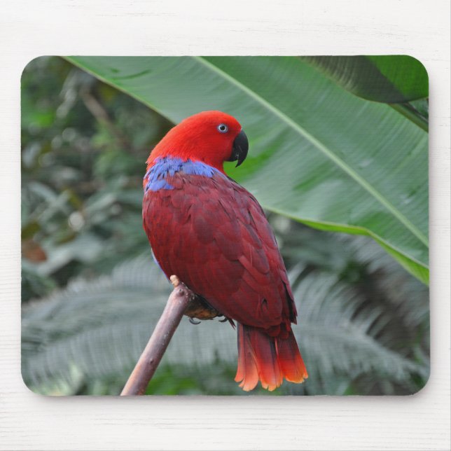 Red eclectic parrot mouse mat (Front)