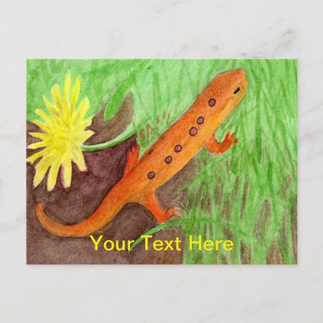 Red Eft Eastern Newt Holiday Postcard (Front)