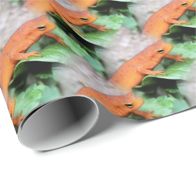 Red Eft Orange Salamander Animal Pattern   Wrapping Paper (Roll Corner)