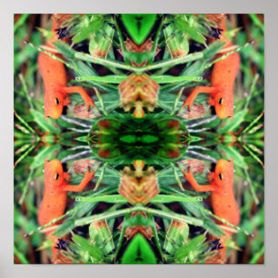 Red Eft Orange Salamander Mirror Abstract Poster