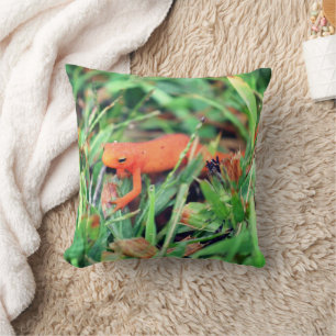 Red Eft Orange Salamander Nature 1 Cushion