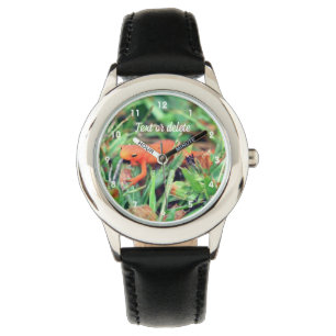 Red Eft Orange Salamander Nature 1 Watch