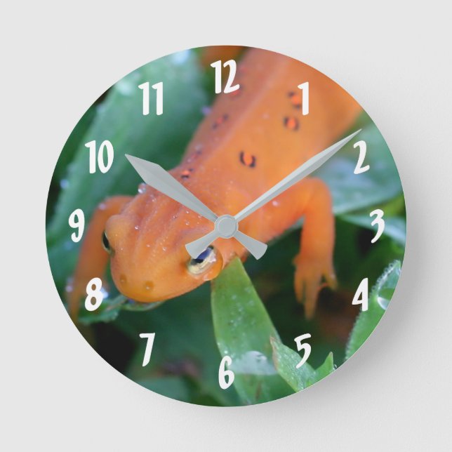 Red Eft Orange Salamander Nature Round Clock (Front)