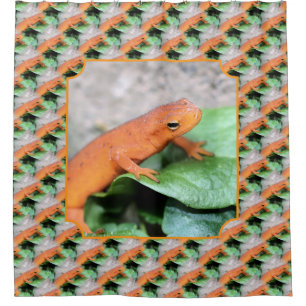 Red Eft Salamander Animal Nature Pattern Shower Curtain