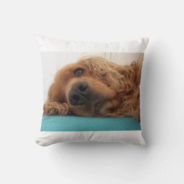 red english cocker spaniel 2.png cushion (Front)