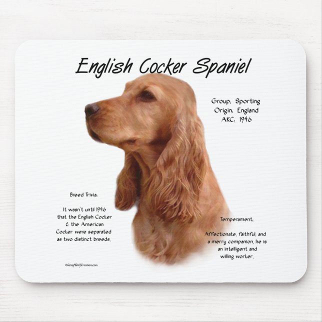 Red English Cocker Spaniel History  Mouse Mat (Front)