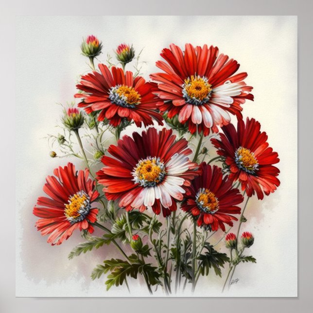 Red English Daisy Flower Art Print Poster (Front)