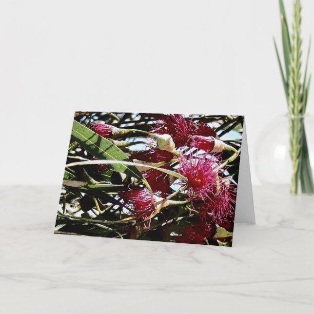red eucalyptus flower holiday card (Front)