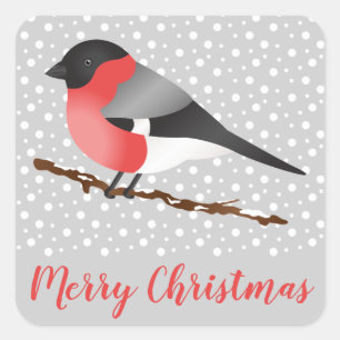 Red Eurasian Bullfinch Bird Grey Winter Christmas Square Sticker