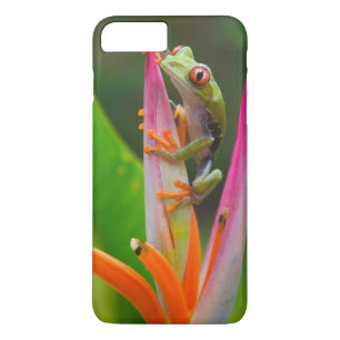 Red-eye tree frog, Costa Rica iPhone 8 Plus/7 Plus Case