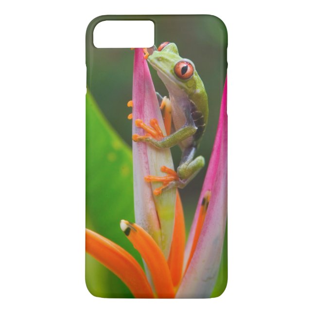 Red-eye tree frog, Costa Rica Case-Mate iPhone Case (Back)