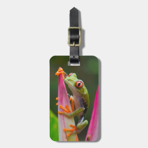 Red-eye tree frog, Costa Rica Luggage Tag
