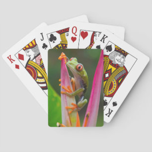 Red-eye tree frog, Costa Rica Playing Cards