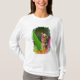 Red-eye tree frog, Costa Rica T-Shirt