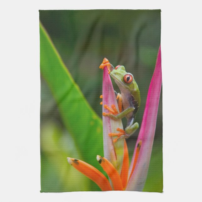 Red-eye tree frog, Costa Rica Tea Towel (Vertical)