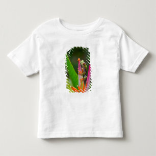 Red-eye tree frog, Costa Rica Toddler T-Shirt