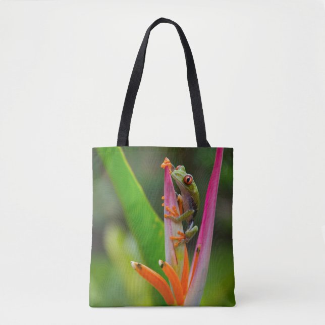 Red-eye tree frog, Costa Rica Tote Bag (Front)
