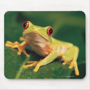 Red eye tree frog mouse mat