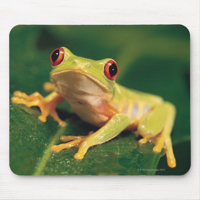 Red eye tree frog mouse mat (Front)