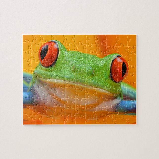 Red-eye Tree Frog Puzzle (Horizontal)