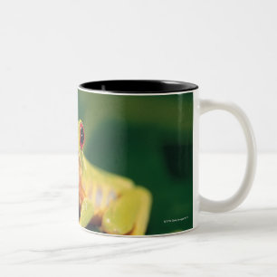 Red eye tree frog Two-Tone coffee mug