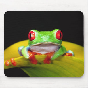 Red Eye Treefrog, Agalychinis callidryas, Native Mouse Mat