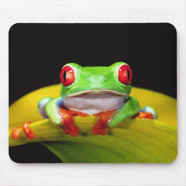 Red Eye Treefrog, Agalychinis callidryas, Native Mouse Mat (Front)