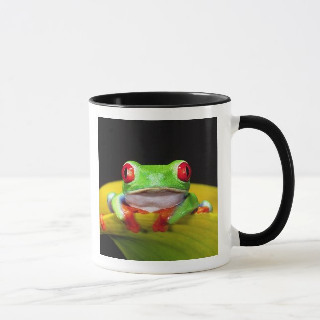 Red Eye Treefrog, Agalychinis callidryas, Native Mug (Right)